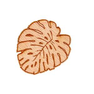 Monstera