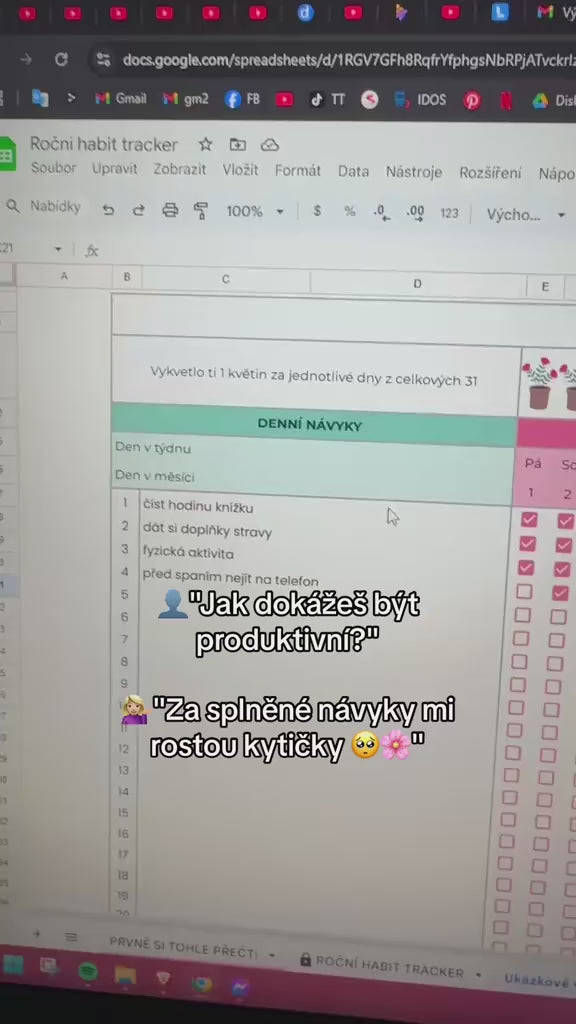 Roční habit tracker