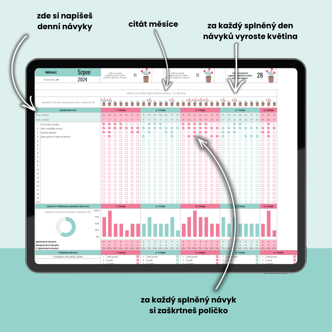 Roční habit tracker