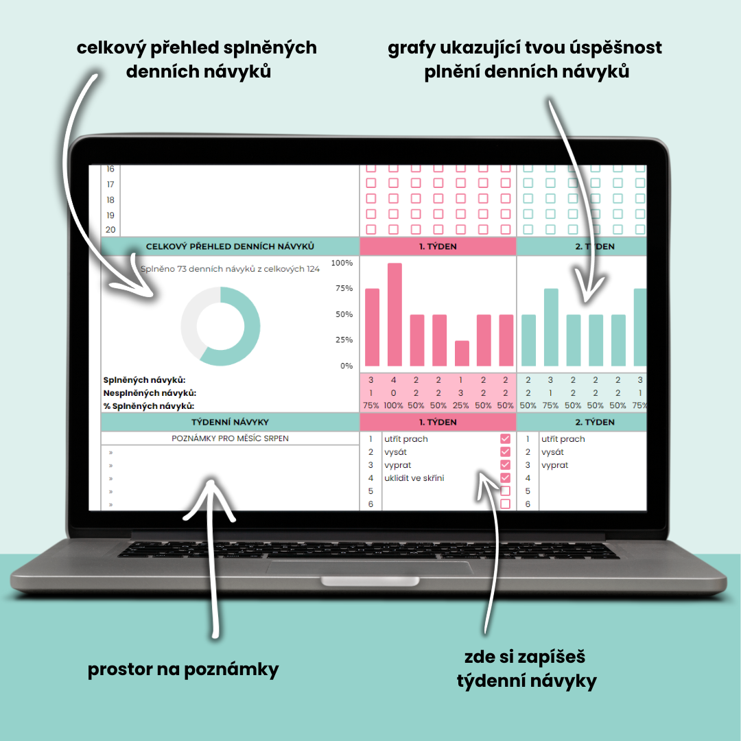 Roční habit tracker